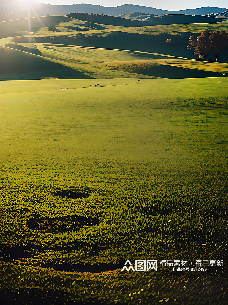 AI数字艺术摄影风阳光照射的草地素材