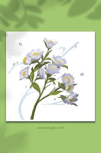白色手绘矢量花朵免抠素材2