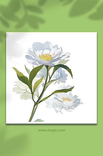 白色手绘矢量花朵免抠素材4