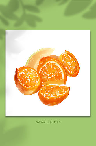 橙色手绘橙子水果矢量免抠素材5