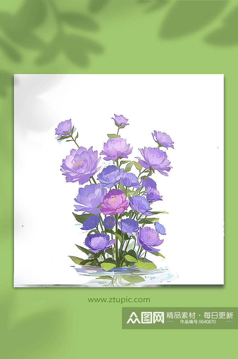 紫色手绘唯美薰衣草紫罗兰免抠素材5素材