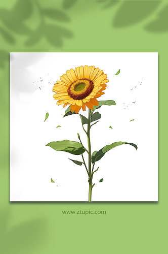 黄色手绘向日葵花免抠素材8