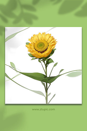 黄色手绘向日葵花免抠素材12