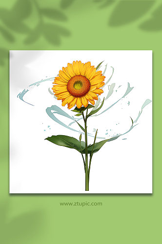 黄色手绘向日葵花免抠素材14