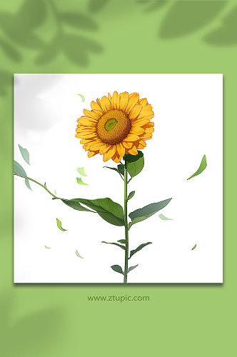 黄色手绘向日葵花免抠素材16