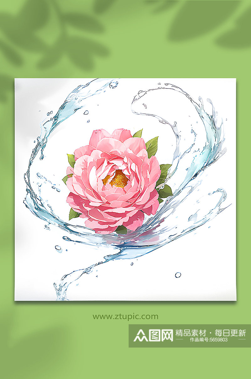 粉色创意柔性水出芙蓉花朵免抠素材3素材