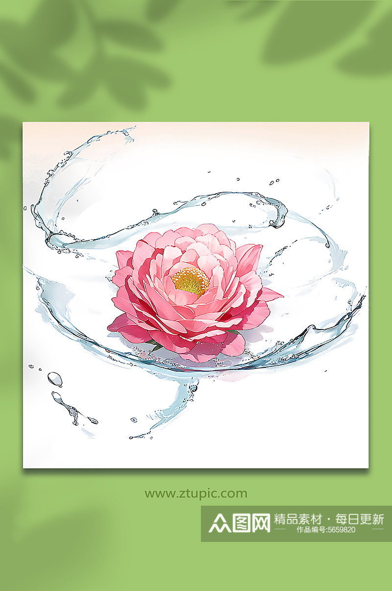 粉色创意柔性水出芙蓉花朵免抠素材18素材