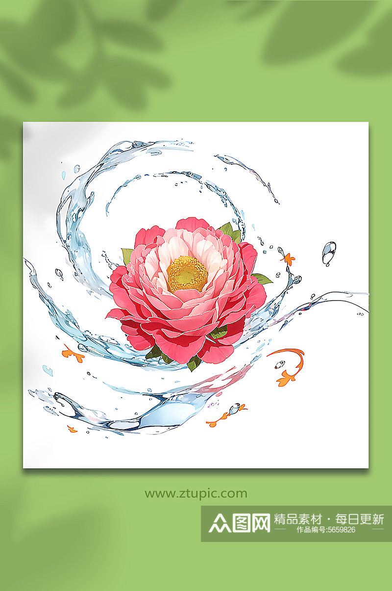 粉色创意柔性水出芙蓉花朵免抠素材24素材