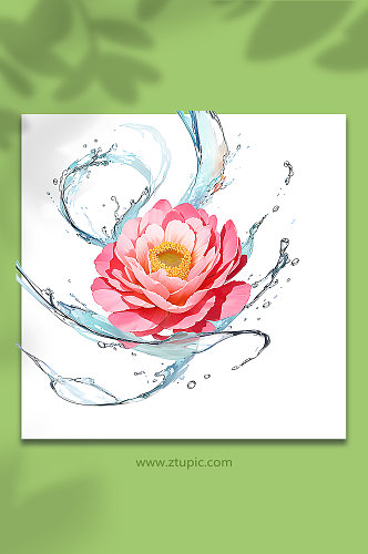 粉色创意柔性水出芙蓉花朵免抠素材27