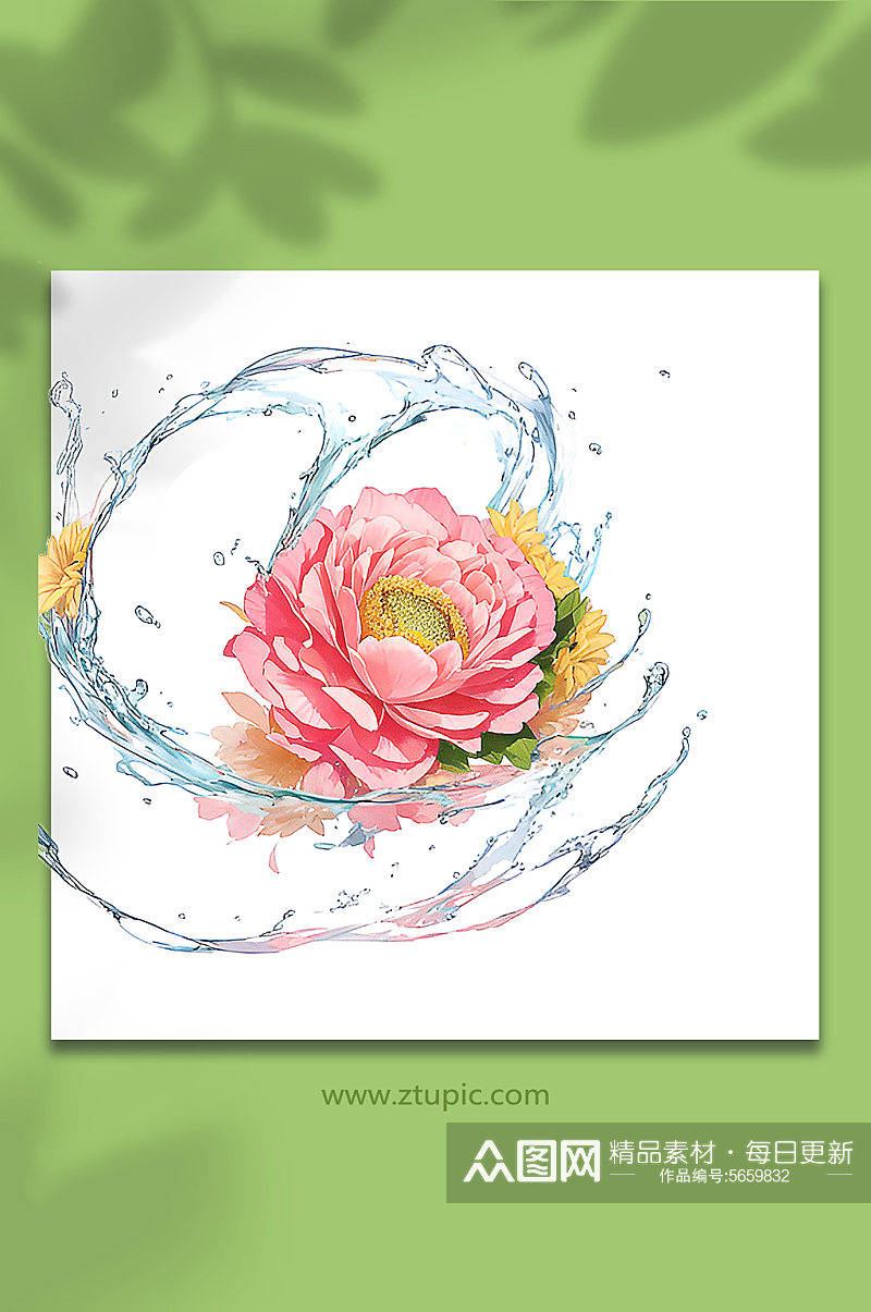 粉色创意柔性水出芙蓉花朵免抠素材30素材