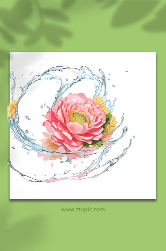 粉色创意柔性水出芙蓉花朵免抠素材30