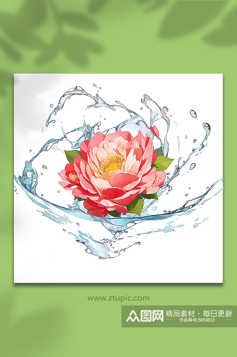 粉色创意柔性水出芙蓉花朵免抠素材31素材