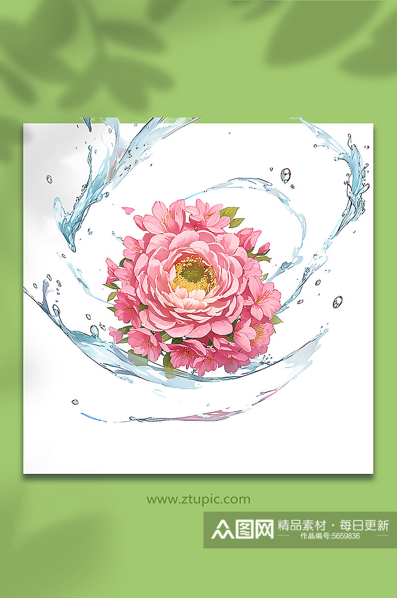 粉色创意柔性水出芙蓉花朵免抠素材34素材