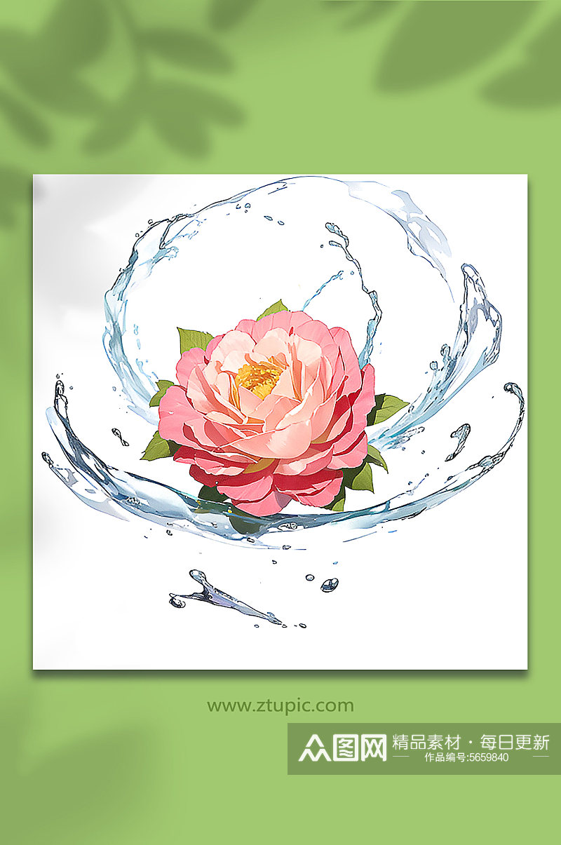 粉色创意柔性水出芙蓉花朵免抠素材38素材