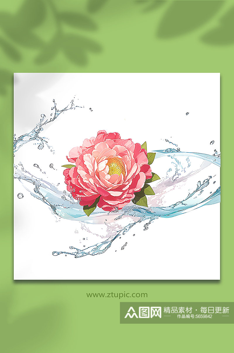 粉色创意柔性水出芙蓉花朵免抠素材40素材