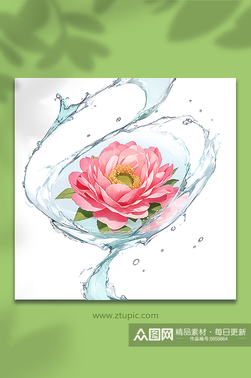 粉色创意柔性水出芙蓉花朵免抠素材44素材