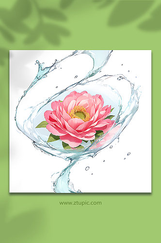 粉色创意柔性水出芙蓉花朵免抠素材44