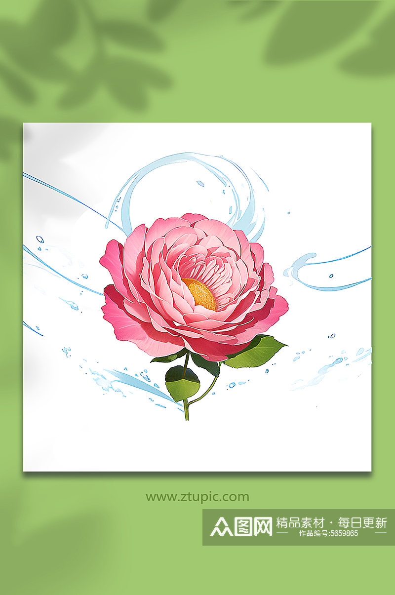 粉色创意柔性水出芙蓉花朵免抠素材47素材