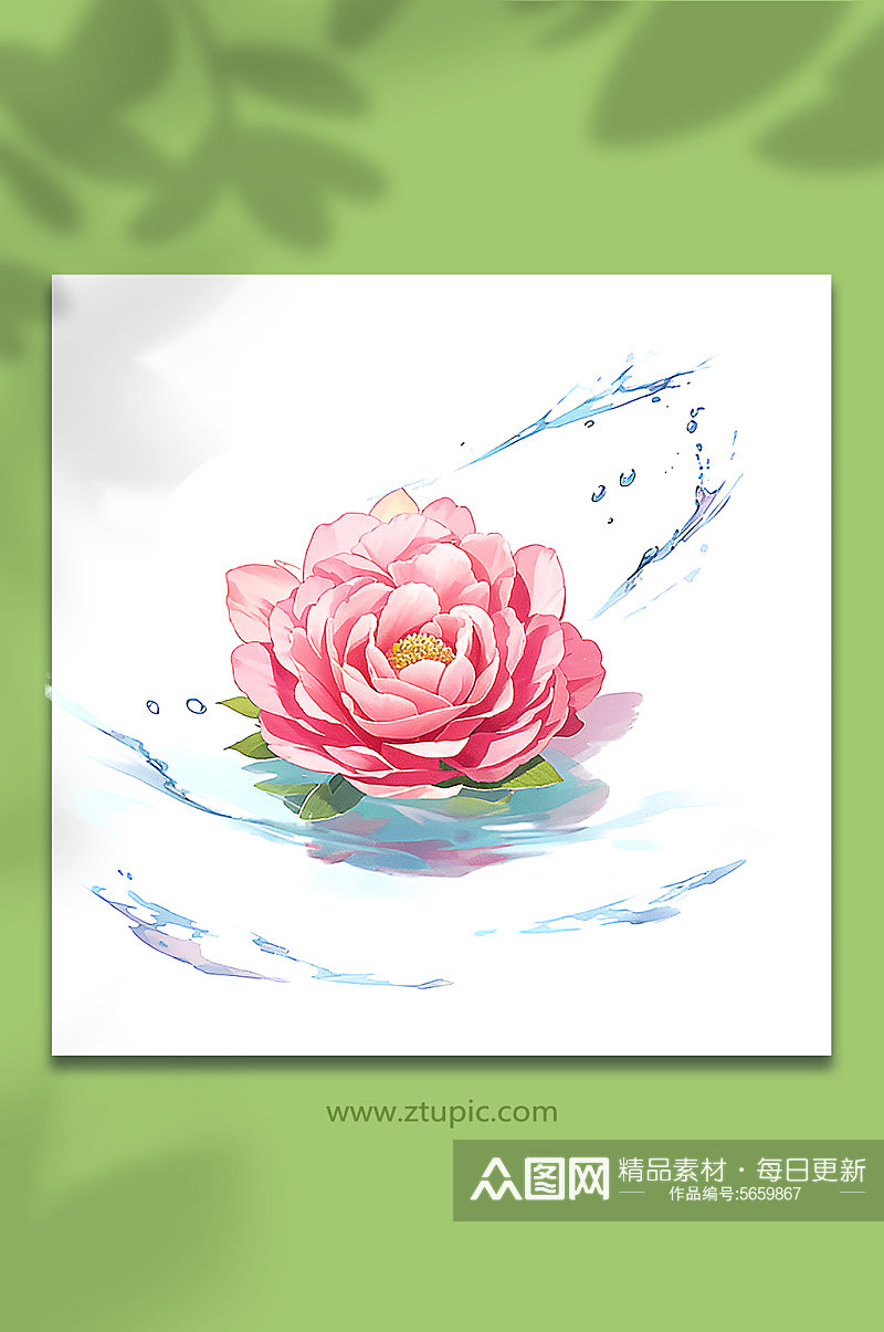 粉色创意柔性水出芙蓉花朵免抠素材48素材