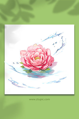 粉色创意柔性水出芙蓉花朵免抠素材48