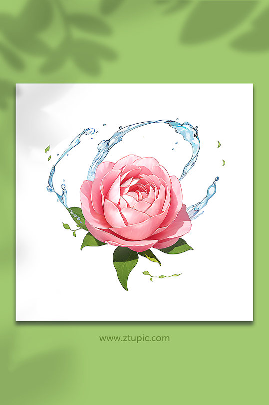 粉色创意柔性水出芙蓉花朵免抠素材49