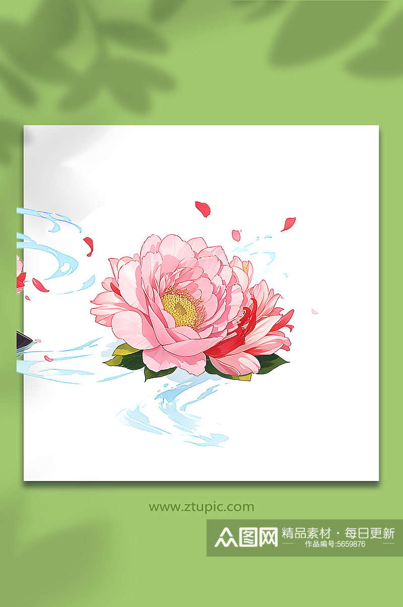 粉色创意柔性水出芙蓉花朵免抠素材56素材
