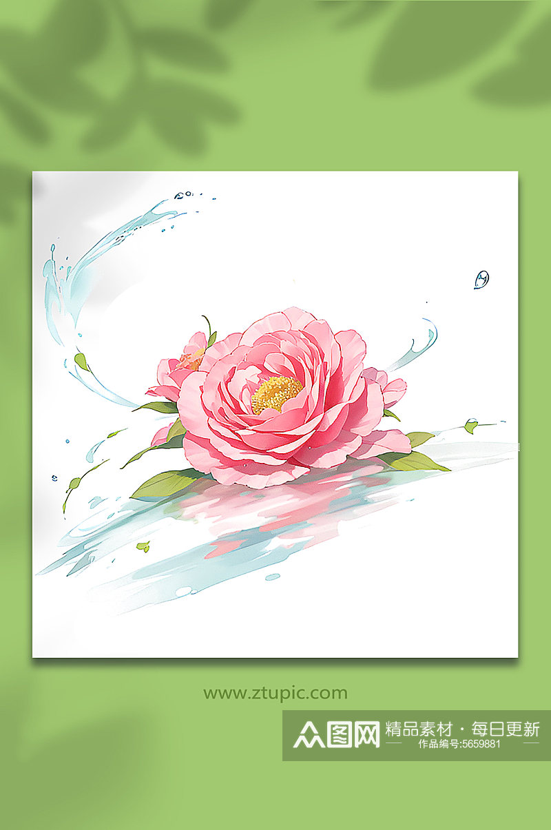 粉色创意柔性水出芙蓉花朵免抠素材61素材