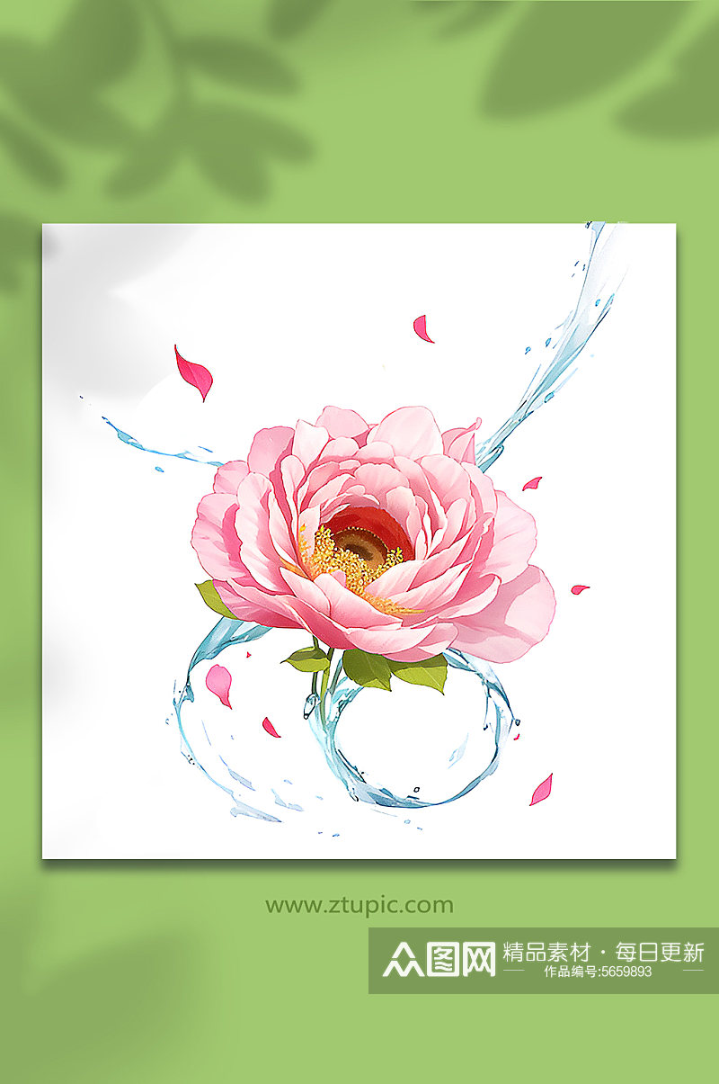 粉色创意柔性水出芙蓉花朵免抠素材73素材