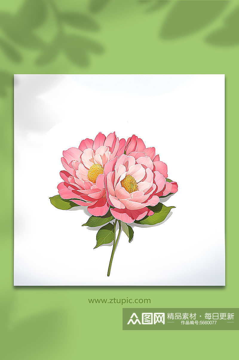 粉色唯美花朵免抠素材90素材