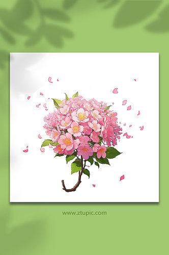 粉色唯美浪漫花朵花束免抠素材296