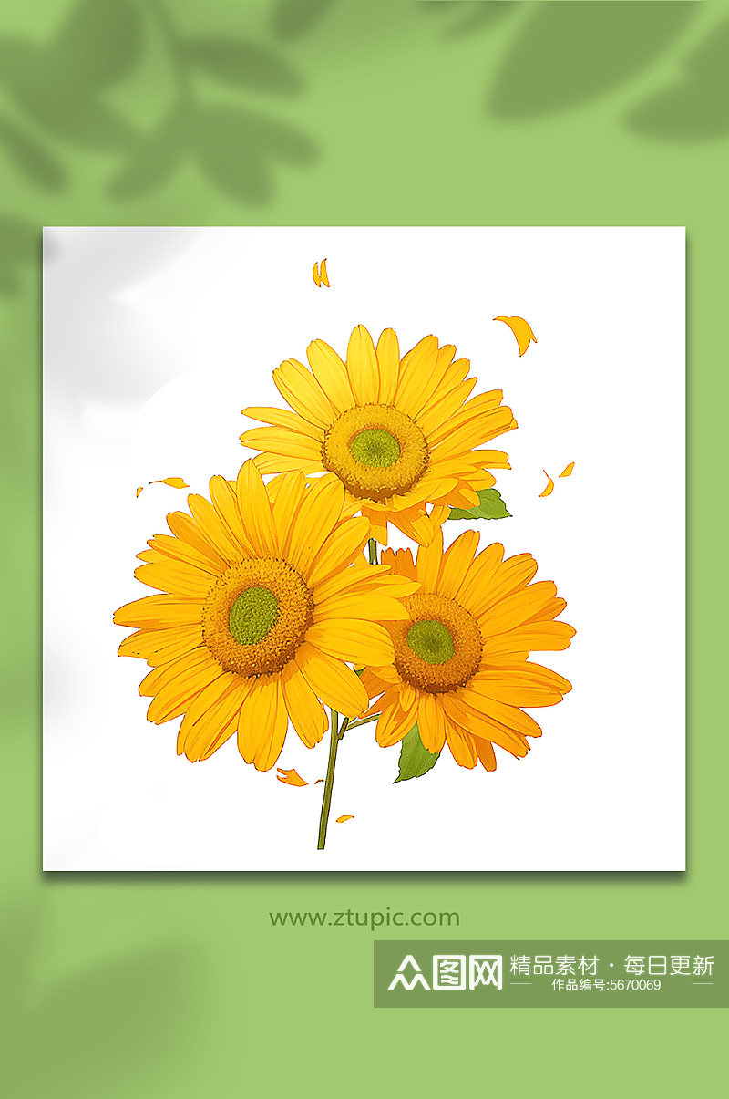 黄色手绘向日葵花束免抠素材61素材