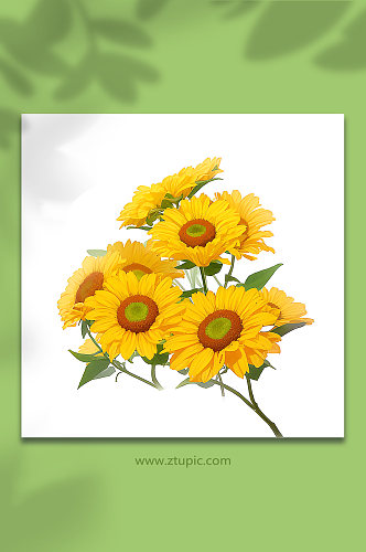 黄色手绘向日葵花束免抠素材109
