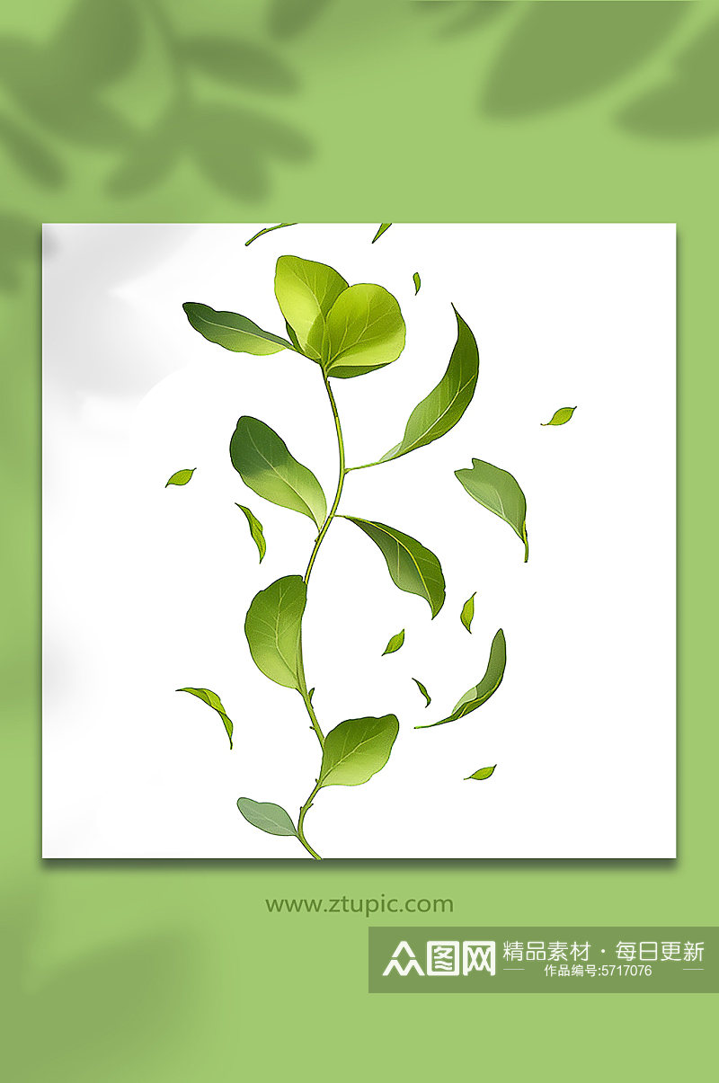 绿色唯美手绘树叶元素免抠素材33素材