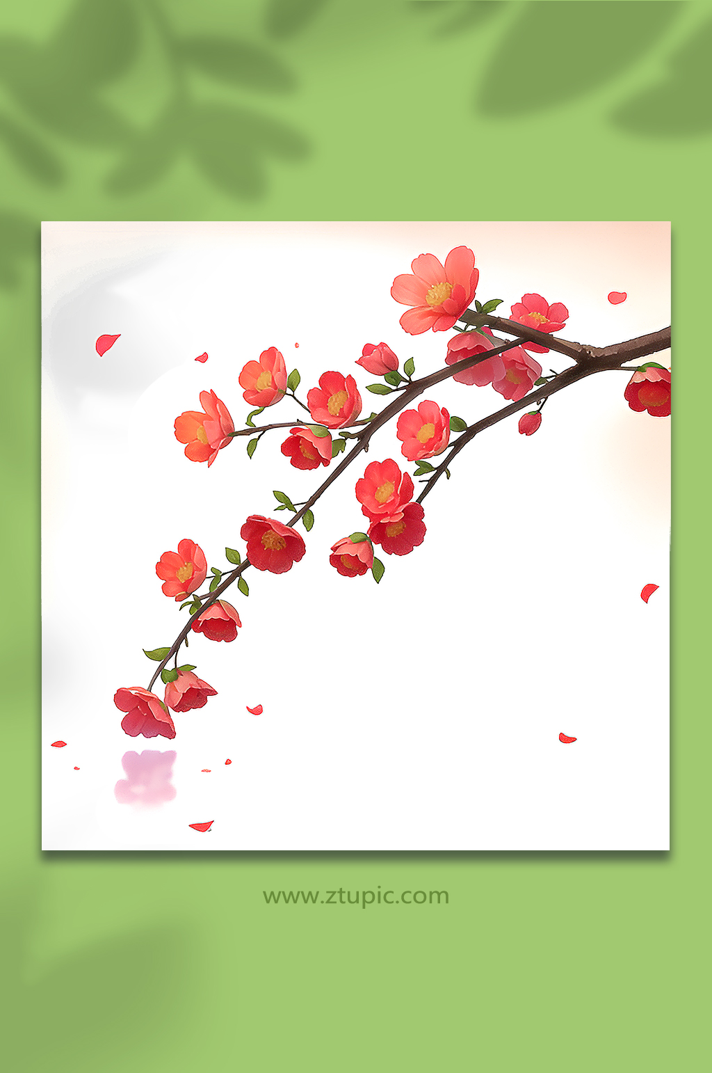 红色手绘梅花一枝梅免抠7素材