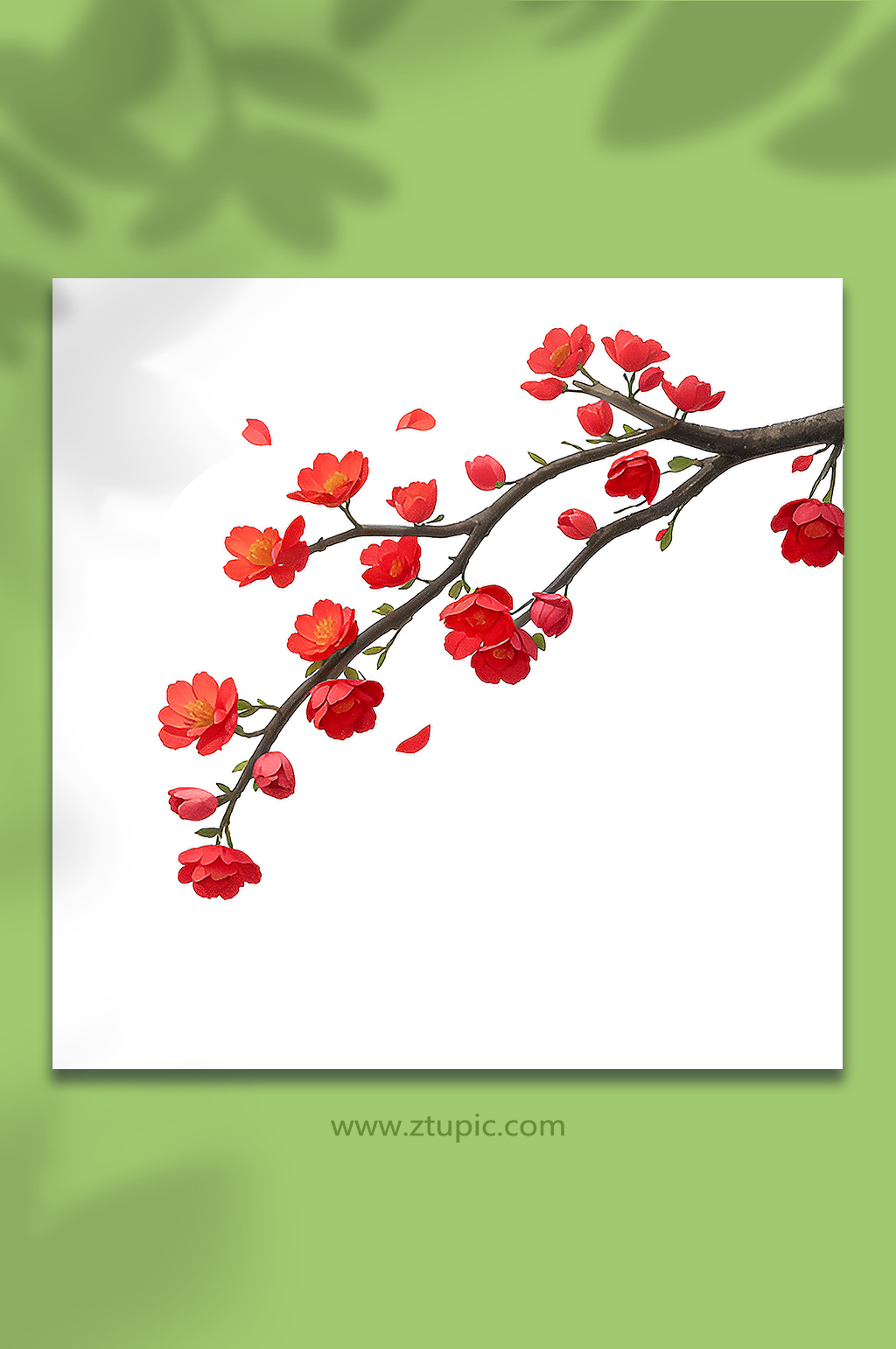 红色手绘梅花一枝梅免抠10素材