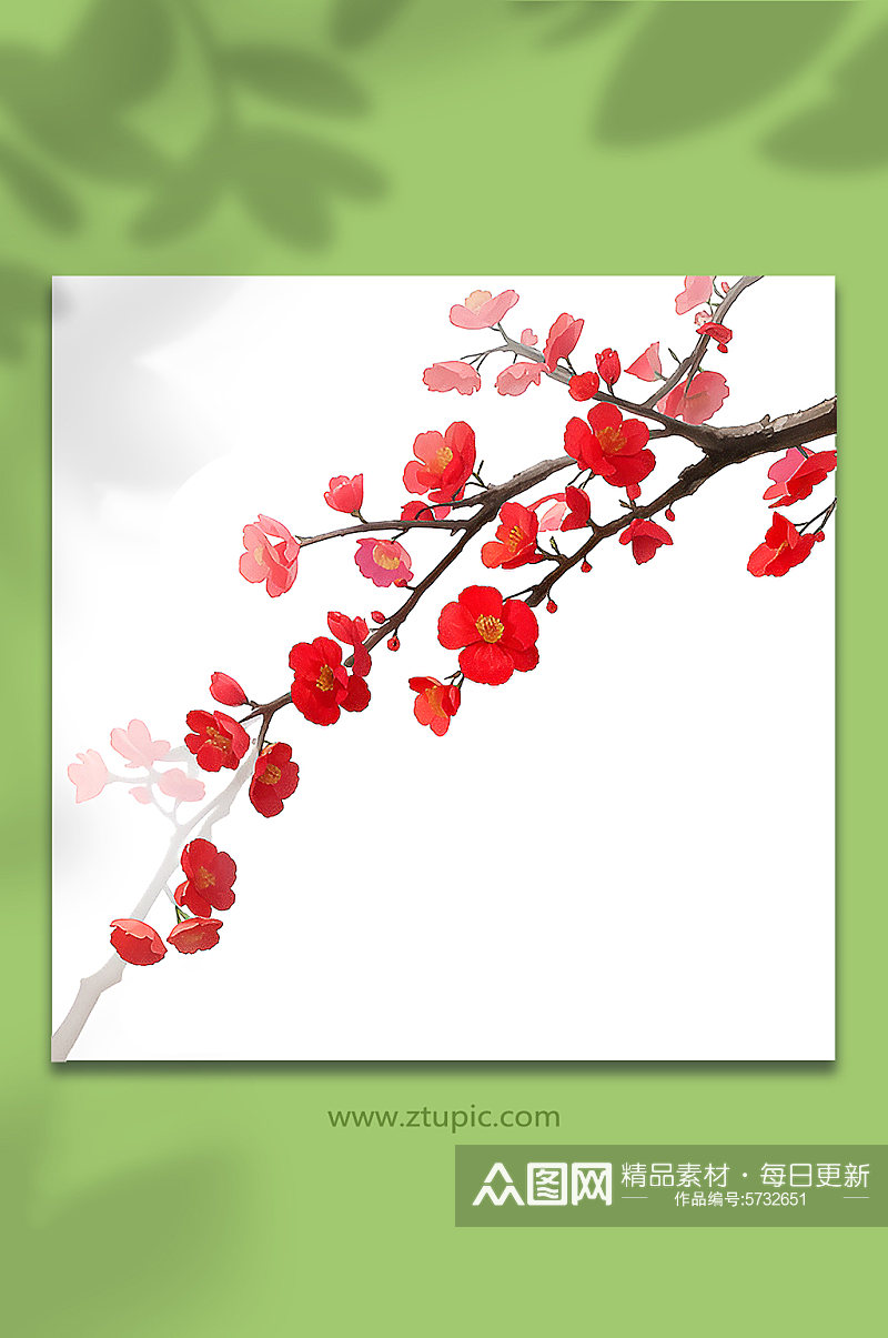 红色手绘梅花一枝梅免抠15素材