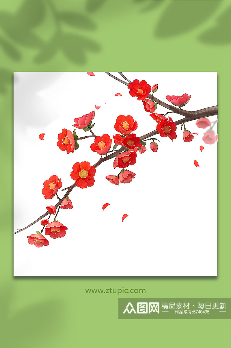 红色手绘梅花一枝梅免抠31素材