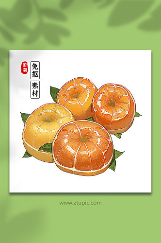 手绘橙子橘子素材3
