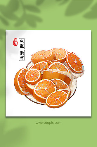 手绘橙子橘子素材11