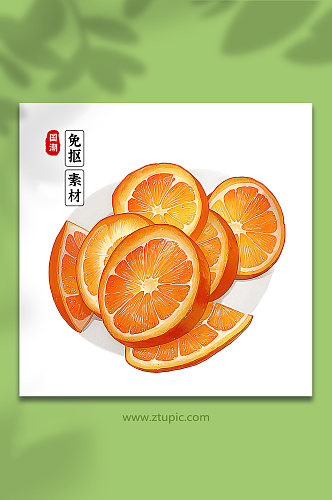 手绘橙子橘子素材12