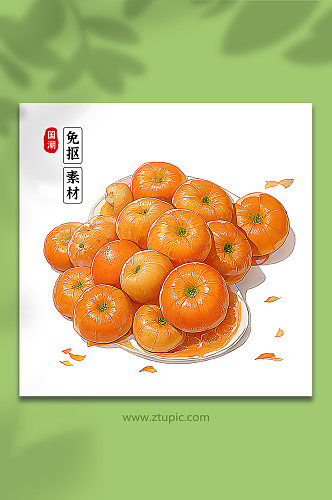 手绘橙子橘子素材14