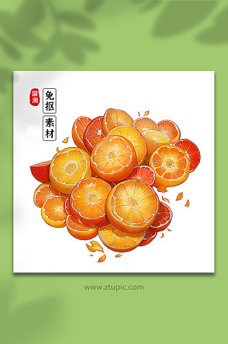 手绘橙子橘子素材16