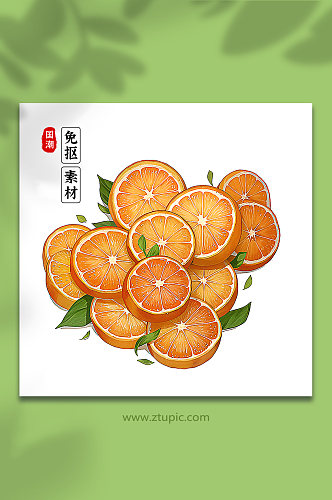 手绘橙子橘子素材19