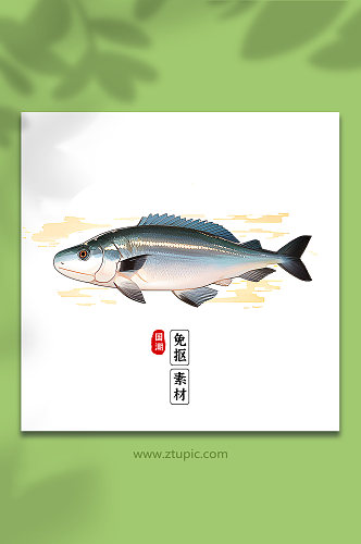 手绘海鱼免抠素材61
