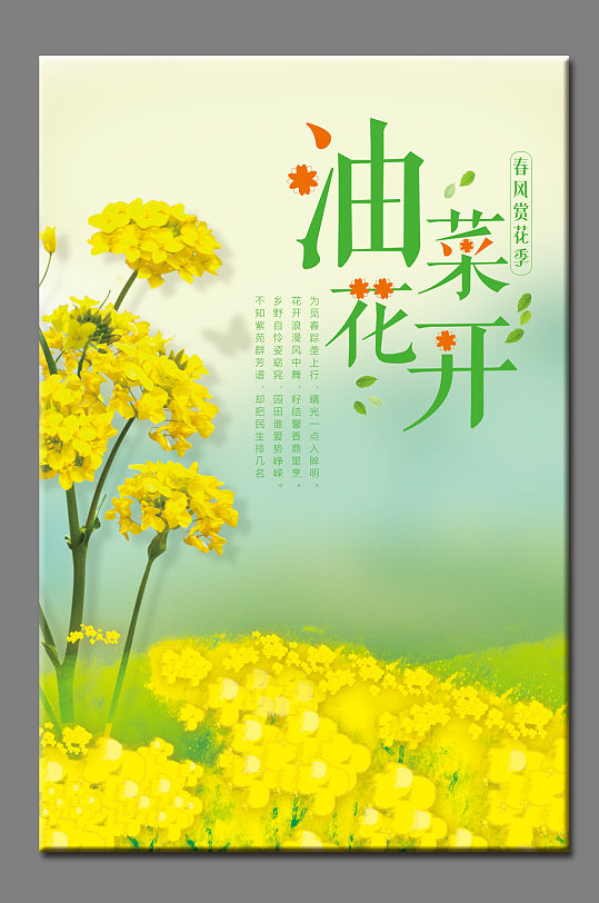 油菜花封面海报花朵