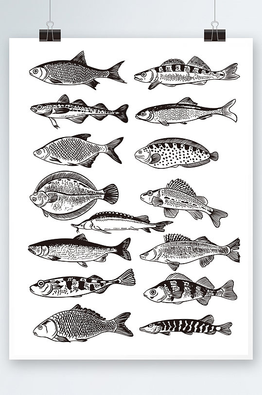 海洋鱼类矢量鱼海鲜