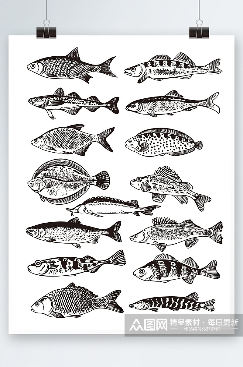 海洋鱼类矢量鱼海鲜素材