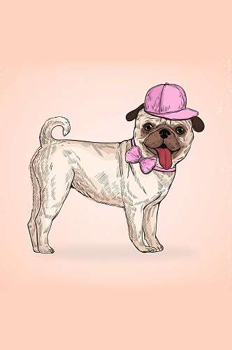 巴哥犬可爱粉红色帽子手绘矢量图