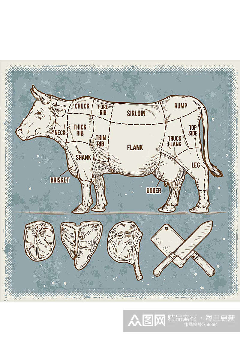 牛复古拉斯分割矢量图素材