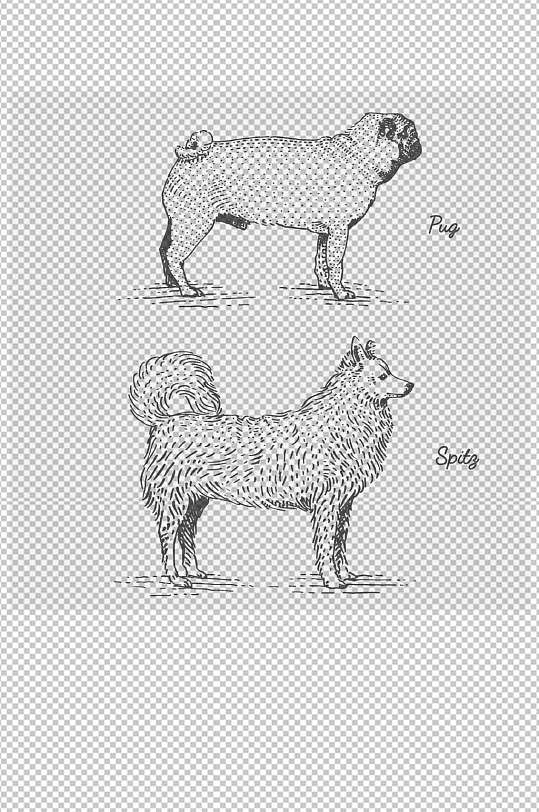 巴哥犬萨摩耶犬手绘线条矢量